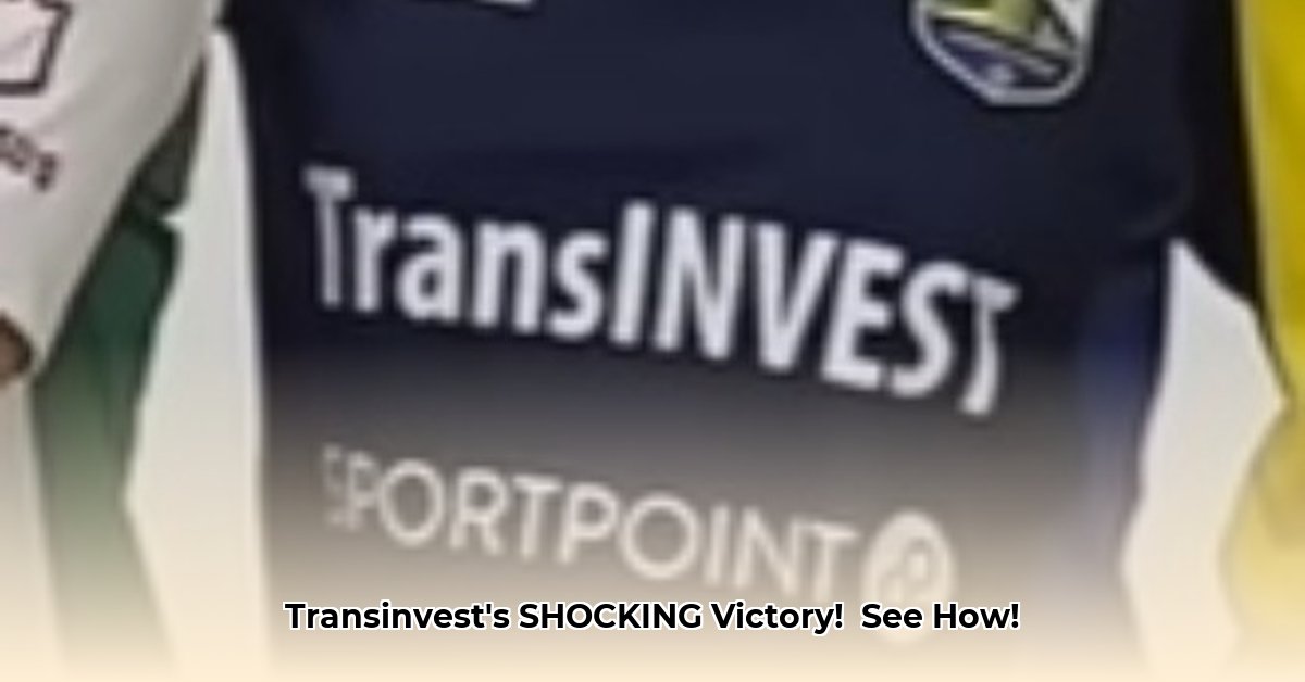 fk-transinvest-vs-fk-minija-2017